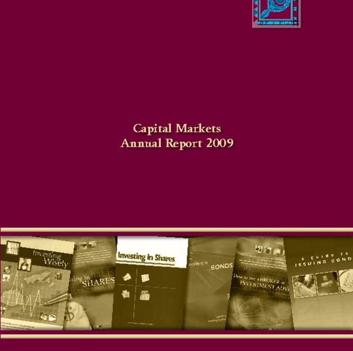 thumbnail of Capital Markets Annual Report 2009